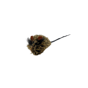 Cockroach